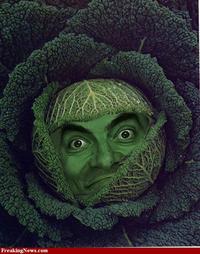 'If Mr Bean Was...'