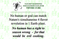 The Time Cube