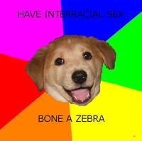 Advice Dog