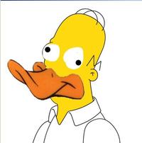 Give Homer a Face!