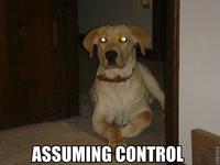 Assuming Control