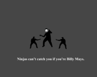 Ninjas Can't Catch You If...