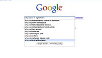 Google Search Box Suggestions