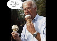 Big Fucking Deal (Joe Biden)