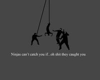 Ninjas Can't Catch You If...