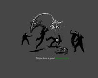 Ninjas Can't Catch You If...