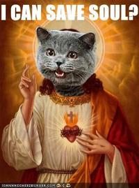 LOLcats