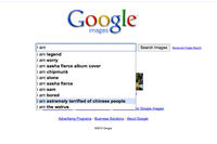 Google Search Box Suggestions