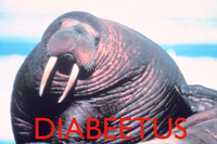 Diabeetus