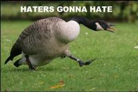 Haters Gonna Hate