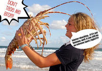 Don't Tase Me Bro