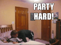 PARTYHARD.gif