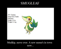 Smugleaf / Snivy