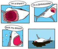 The Singing Shark