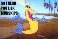 I Herd U Like Mudkips