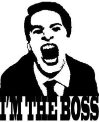 Like A Boss