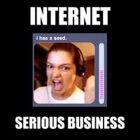 The Internet is Serious Business