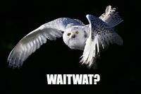O RLY?