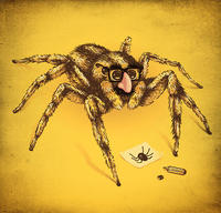 Paying Bills with Spider Drawings (Seven-Legged Spider)