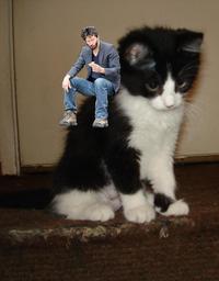 Keanu Is Sad / Sad Keanu