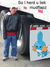 I Herd U Like Mudkips
