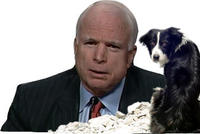 Apathetic-dog-doesnt-care-for-bewildered-john-14161-1276886721-21