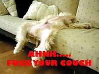 Fuck Yo Couch