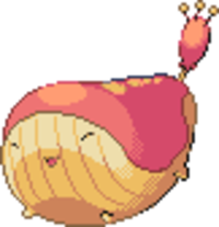 Hot Skitty on Wailord Action