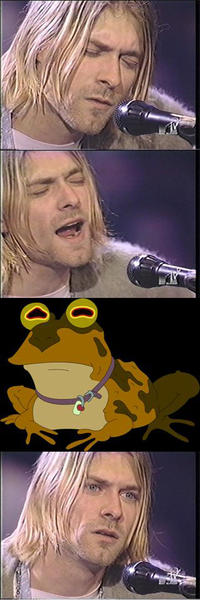 Kurt Cobain Reaction