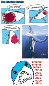 The Singing Shark