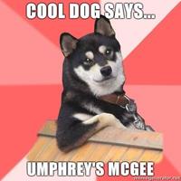 Cool Dog