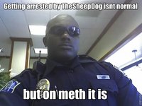 X Isn't Normal, But on Meth It Is