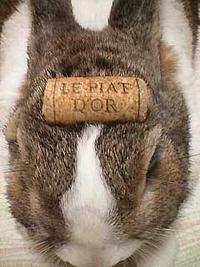 Pancake Bunny