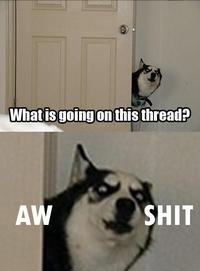 Hey Guys What's Going On This Thread?