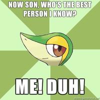 Smugleaf / Snivy