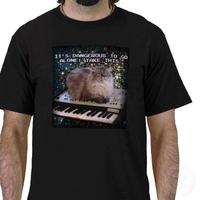 Cat on a Keyboard in Space