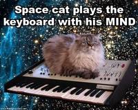 Cat on a Keyboard in Space