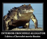 Interior Crocodile Alligator