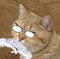 The Gendo Pose