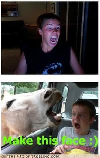 Make This Face