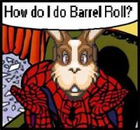 Do A Barrel Roll