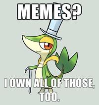 Smugleaf / Snivy