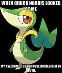 Smugleaf / Snivy