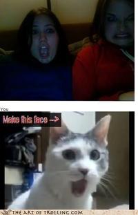 Make This Face