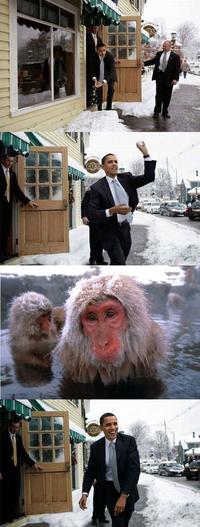 Obama Snowball