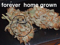 Forever Alone