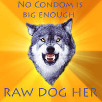 Courage Wolf