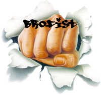 Bro Fist
