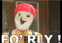 O RLY?