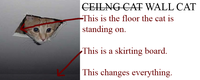 Ceiling Cat